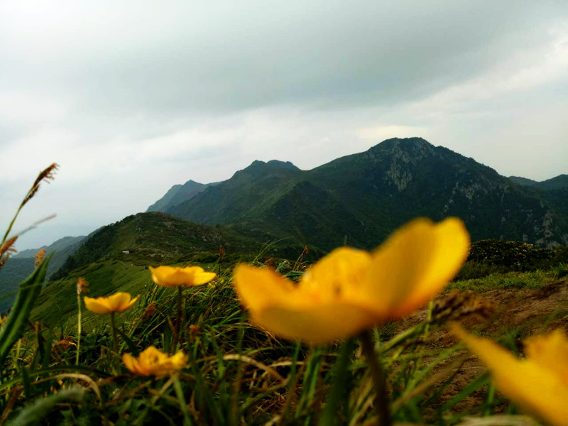 微信图片_20170531144356.jpg