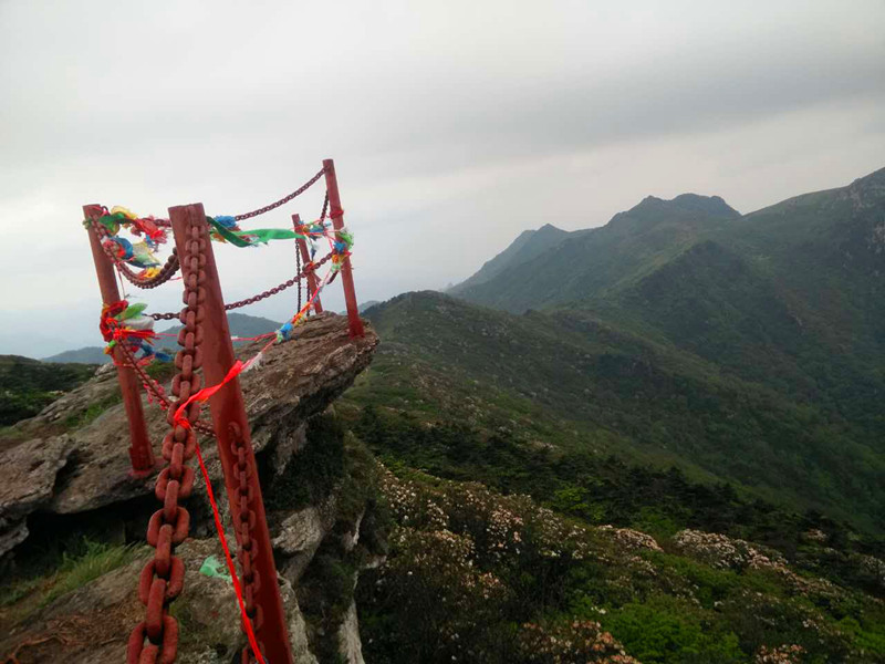 微信图片_20170531144228.jpg