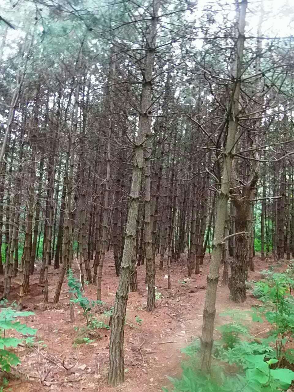 微信图片_20170704151001.jpg