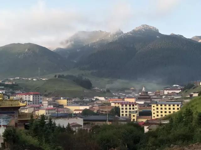 19.jpg