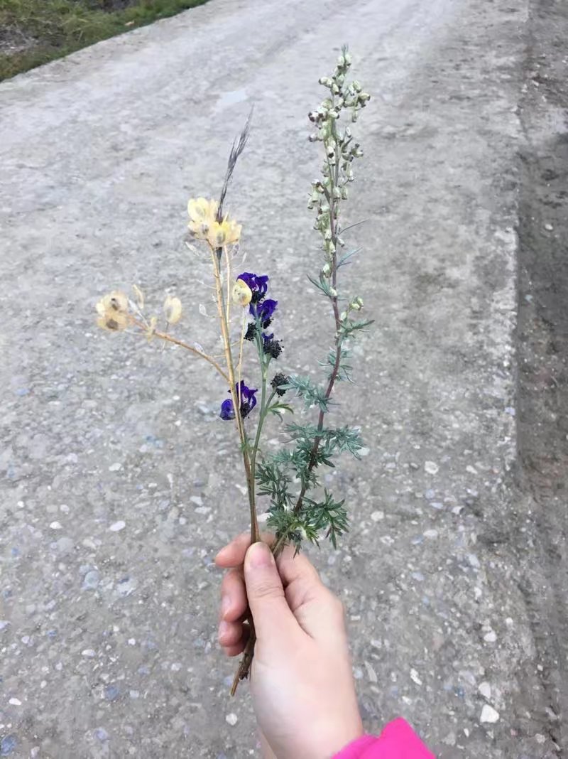 psb (7).jpg