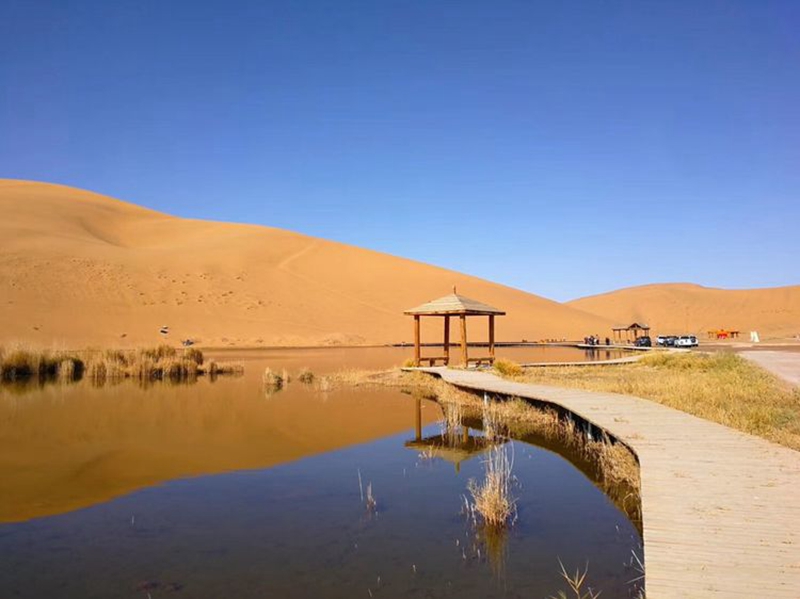 胡杨林 (50).jpg